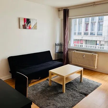 Appartement Avec Balcon Centre Straatsburg